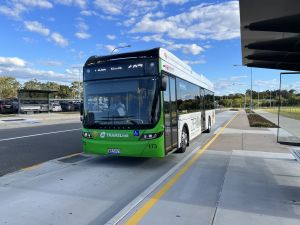 Hornibrook Buslines 173 at Mango Hill Station doing a 687.