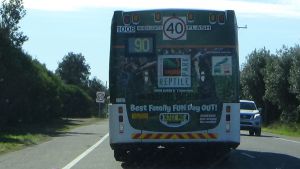Rear image of <a href="/w/index.php?title=1008_(Busways_NSW)&amp;action=edit&amp;redlink=1" class="new" title="1008 (Busways NSW) (page does not exist)">1008</a>, an example of an 18.310 Diesel.
